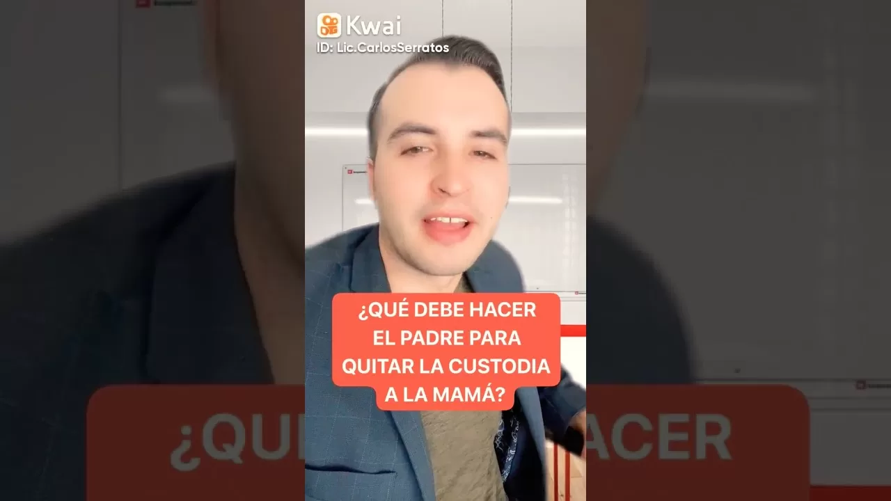 Requisitos para quitar la custodia a una madre 2 requisitos para quitar la custodia a una madre